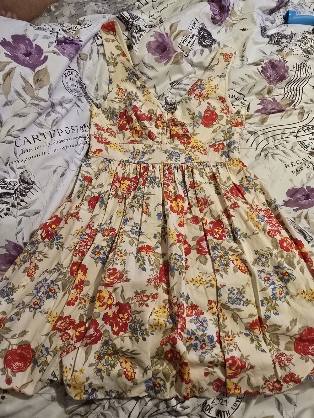 Floral Fit-and-Flare Sleeveless Dress in Cream and Red